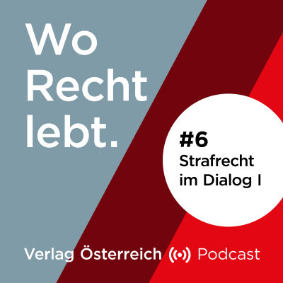 episode #6 Strafrecht im Dialog I artwork