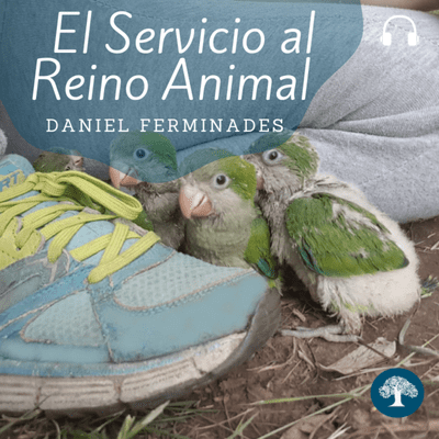 episode El servicio al Reino Animal artwork