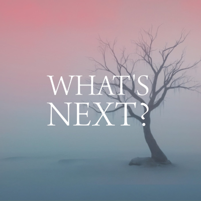 episode What's Next? Part 4 artwork