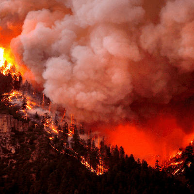 episode 46: Fighting Wildfires (Real and Metaphorical) artwork