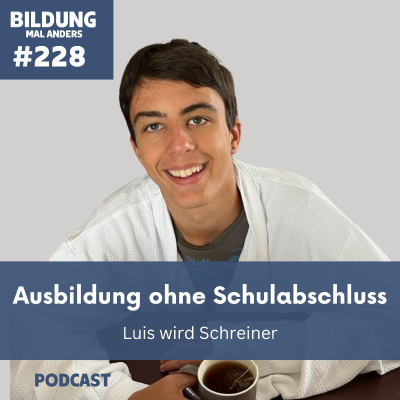 episode 228 Ausbildung ohne Schulabschluss - Luis wird Schreiner artwork