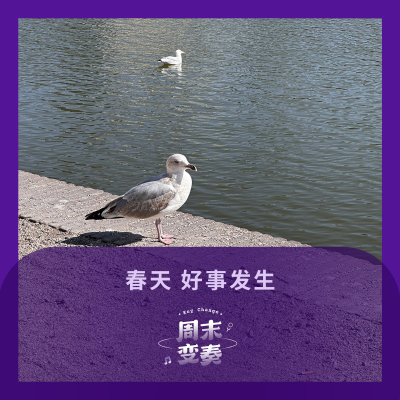 episode 春天来了,总感觉有些好事在隐隐跳动 artwork