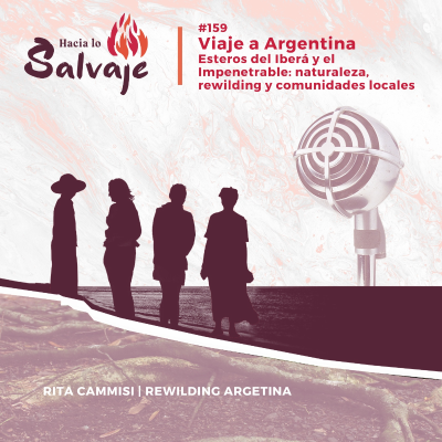 episode 159. Viaje a Argentina, Esteros del Iberá y el Impenetrable: Naturaleza, rewilding y comunidades locales artwork