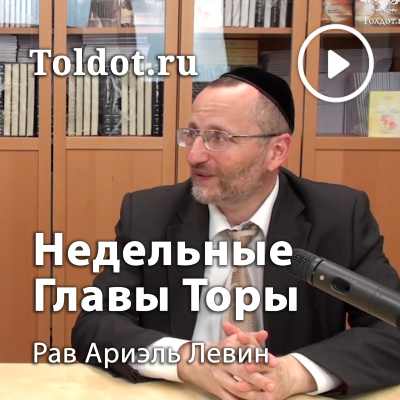 Рав Ариэль Левин — В ногу со временем по недельным главам