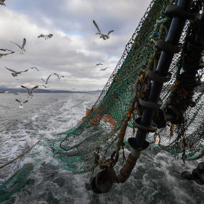 episode Why is David Attenborough warning us about ocean trawling? artwork