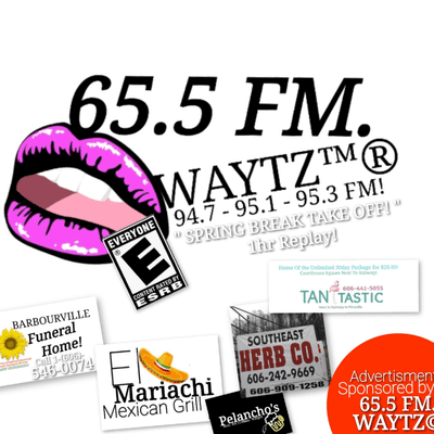 episode 65.5 FM. WAYTZ " SPRING TAKE OFF! " 1HR artwork
