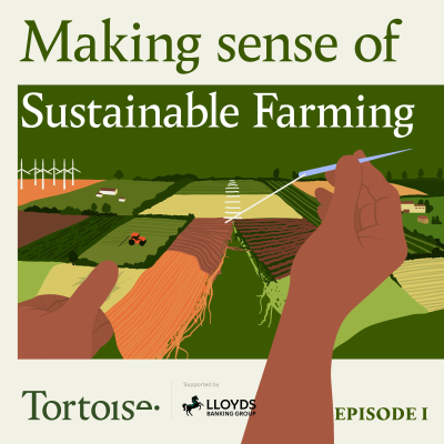 episode Introducing...Making sense of sustainable farming artwork