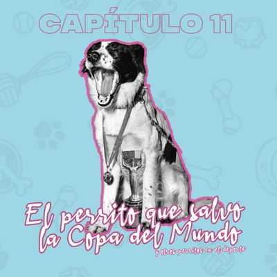 episode El perrito que salvó la Copa del Mundo y otros perritos del deporte artwork