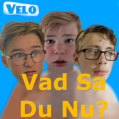 Vad Sa Du Nu?