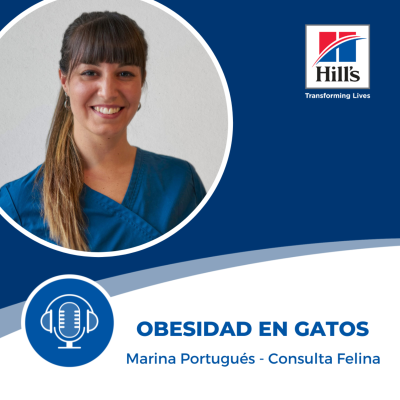 episode Obesidad en gatos con Marina Portugués artwork