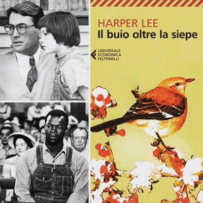 episode Il buio oltrela siepe, dal libro al film artwork