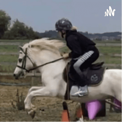 Maddie may equestrian podcast