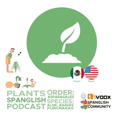 episode GreenSpanglish Episodio // Chapter 1: Asparagles artwork