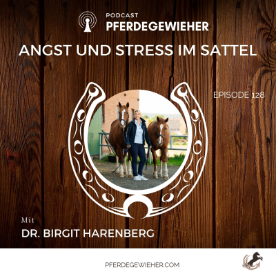 episode Episode 128 - Angst und Stress im Sattel artwork