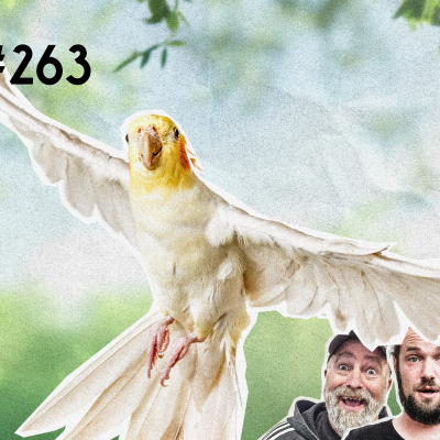 episode #263 Schwester Baum und Bruder Nymphensittich artwork