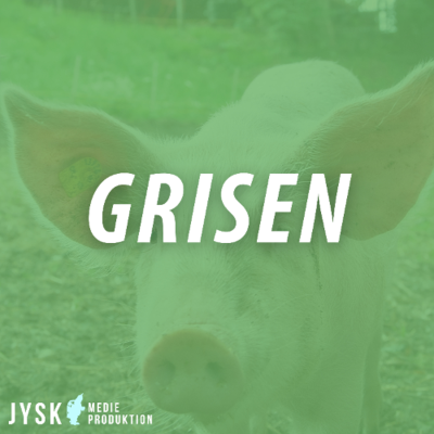 episode Grisen 2025 - E41: SizeMatters og fremtidens hjemmeblanding artwork