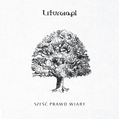 episode 6 prawd wiary - 6 prawda na Niedzielę Palmową w Roku Wiary artwork