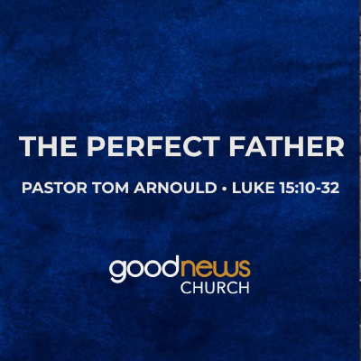 episode The Perfect Father artwork
