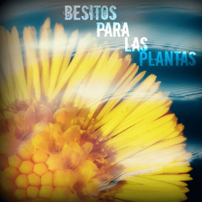 episode BES-T3-06-Pimienta de jamaica bayas de intenso aroma Parte 2 artwork