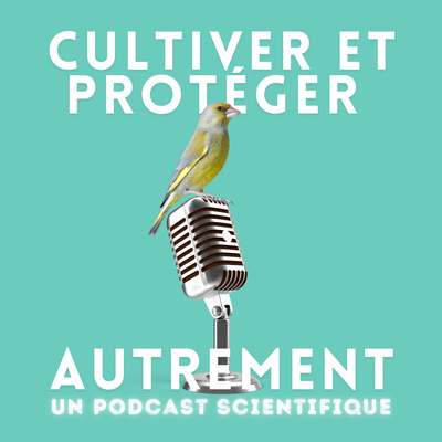 episode #9 SPECIFICS, Conduire des systèmes de culture sans pesticides riches en légumineuses à graines artwork