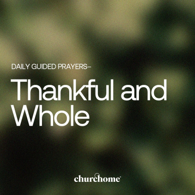 episode Thankful and Whole artwork