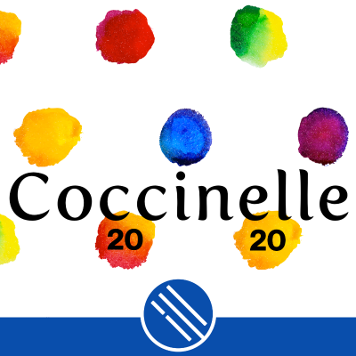 episode Un degno finale - #Coccinelle2020 35 artwork