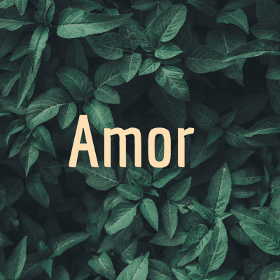 Amor