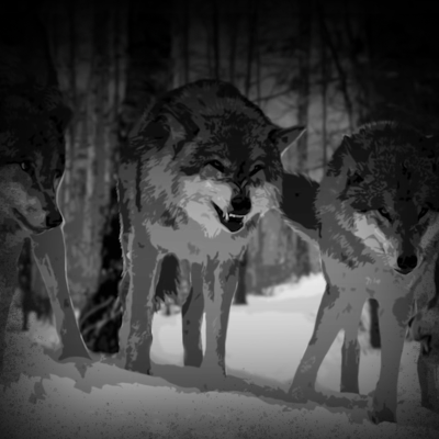 episode When Men Fight Wars with Wolves artwork