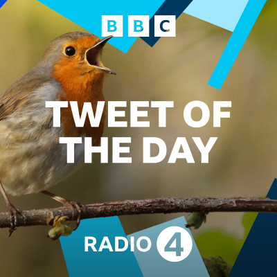 episode Satish Kumar on the Blackbird artwork
