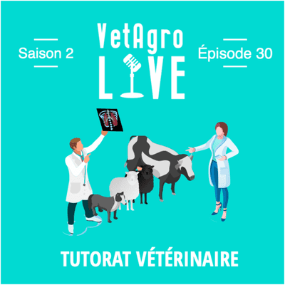 episode Tutorat Vétérinaire artwork
