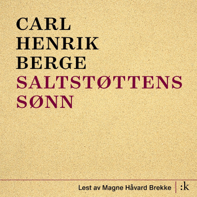 Cover image Saltstøttens sønn