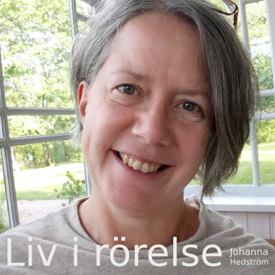 episode 17 Övergång artwork