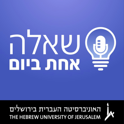 episode שאלה אחת ביום: לחיות לצד האובדן - איך מטפלים באבל אצל מבוגרים? artwork