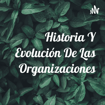 Historia Y Evolución De Las Organizaciones