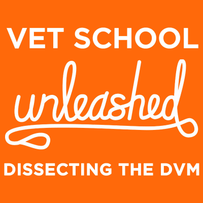 episode 54: Podcast A Vet Collab featuring Dr. John Arnold artwork