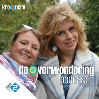 episode Laura van Dolron artwork