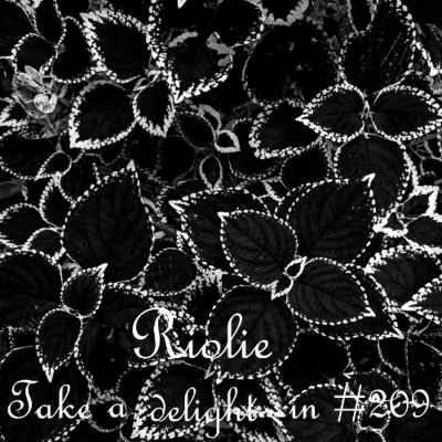 episode Take a delight in ... № 209 podcast artwork