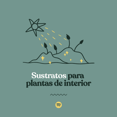 episode Sustratos para plantas de interior artwork