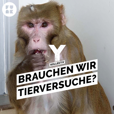 episode Implantate im Kopf – Wofür Affen in Deutschland herhalten müssen artwork