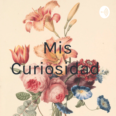 Mis Curiosidad