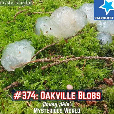 episode The Oakville Blobs – Jimmy Akin’s Mysterious World artwork