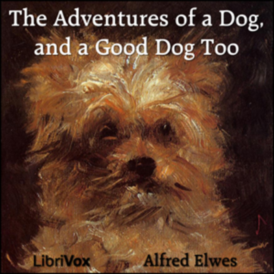 episode The Adventures of a Dog, and a Good Dog Too artwork