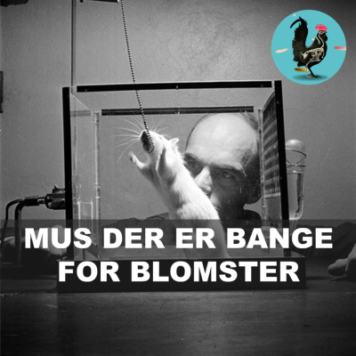 episode #250: Kan traumer gå i arv? artwork