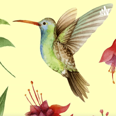 LA LEYENDA DEL COLIBRÍ MAYA