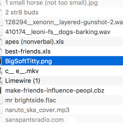 Cover image bigsofttitty.png