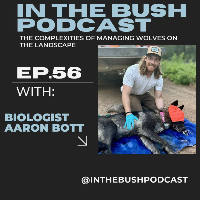 episode Wolf management, behavior, and controversy with Biologist Aaron Bott artwork