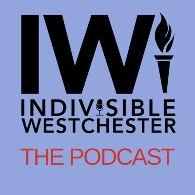 episode NY3 Special Election Results artwork