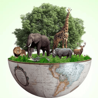episode Composição da biodiversidade e relações que os seres vivos praticam artwork