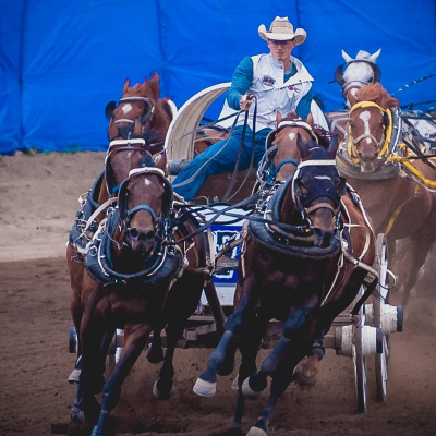 episode Ep. 15 Jim Harbidge Ponoka Stampede Chuckwagon Director artwork