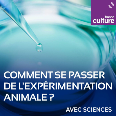 episode Comment se passer de l'expérimentation animale ? 3/5 : In vitro, les cellules en boîte et la vie éternelle d'Henrietta Lacks artwork